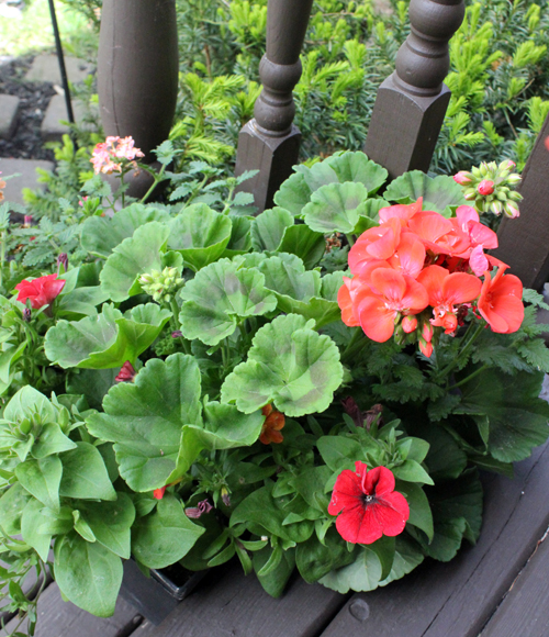 A "deck makeover"...from the Atlantic Superstore Garden ...